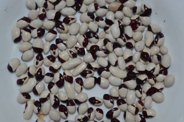 Gıda için bitkilerin çeşitli çeşitlerinin fasulye doku