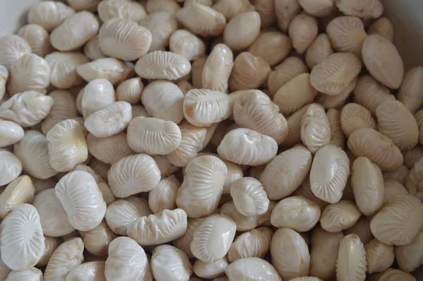 Gıda için bitkilerin çeşitli çeşitlerinin fasulye doku