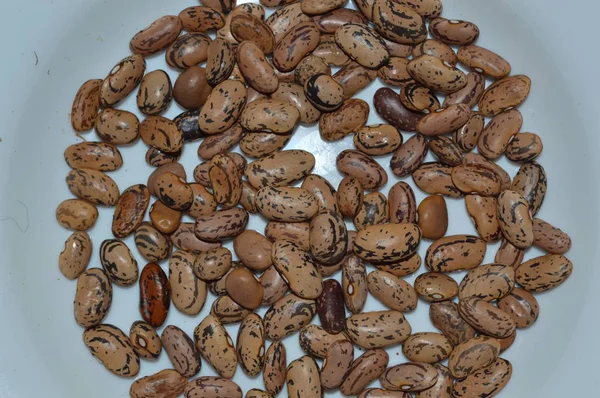 Gıda için bitkilerin çeşitli çeşitlerinin fasulye doku