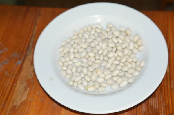食品用植物の様々な品種の豆の食感 — ストック写真
