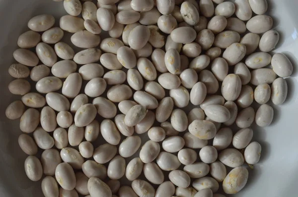 La consistenza dei fagioli di varie varietà di piante per alimenti — Foto Stock