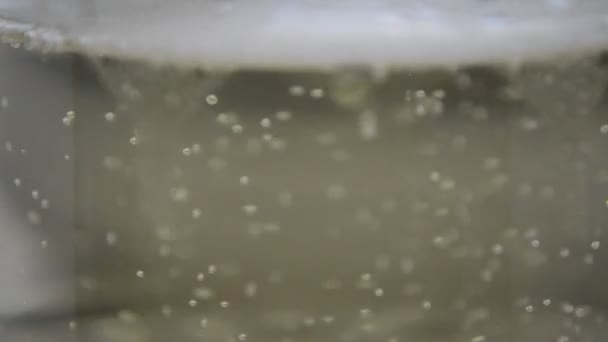 Champagne Dans Verre Jour Anniversaire Sur Fond Blanc — Video