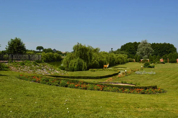 Landschapsontwerp van bloemstukken — Stockfoto