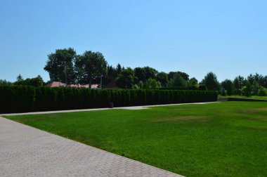 Çiçek aranjmanları peyzaj tasarımı