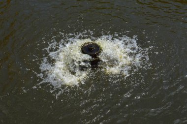 Farklı bir durumda su dokusu