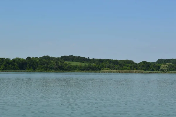 Панорама реки в сельской местности летом — стоковое фото