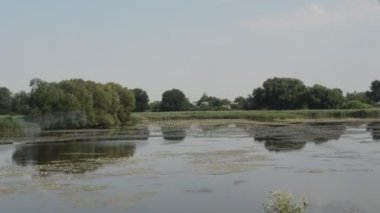 Yaz aylarında kırsal nehir Panoraması