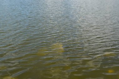 Nehir Panoraması ve su dokusu