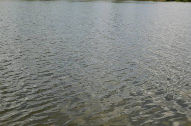 Nehir Panoraması ve su dokusu