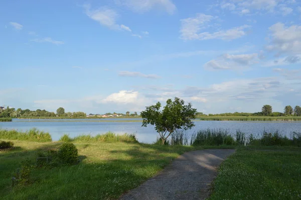 River Panorama och vatten textur — Stockfoto