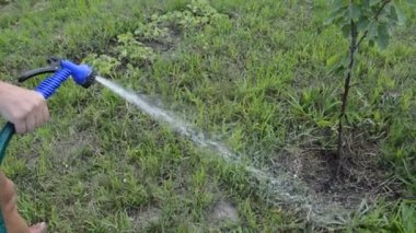 Bir hortum ile el su ile bahçe sulama
