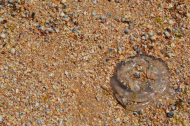 Çeşitli taş dokular