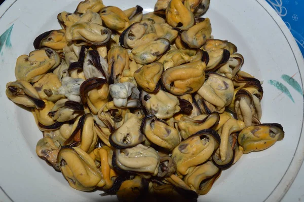 Moules de mer cuites sur une assiette — Photo