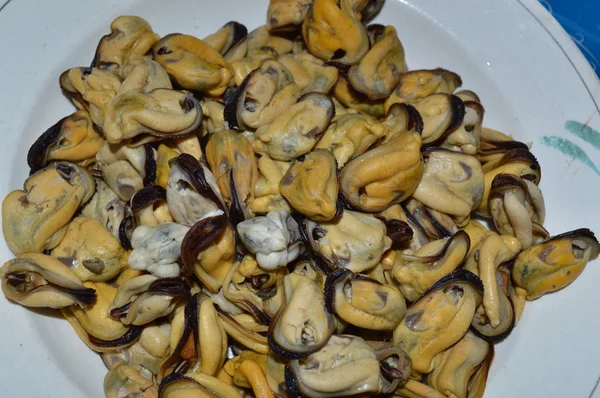 Főtt tengeri kagylókat egy tányéron — Stock Fotó