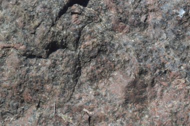 Kıyıda deniz kayası doğa