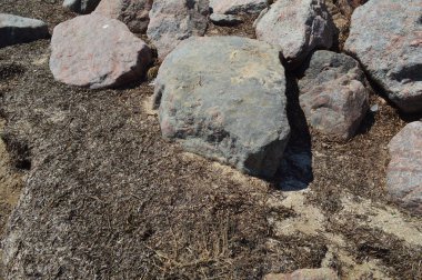 Kıyıda deniz kayası doğa