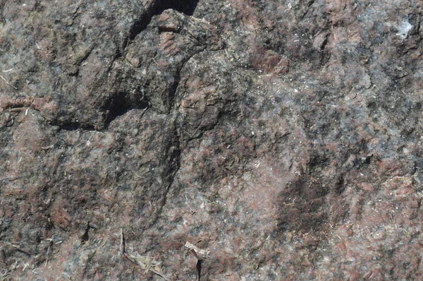 Meeresfelsen Natur an der Küste — Stockfoto