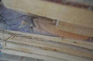 Çerçeve ev inşaatının ayrıntıları ve elemanları