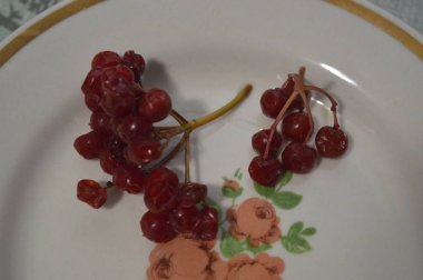 Orman ve bahçe berry closeup