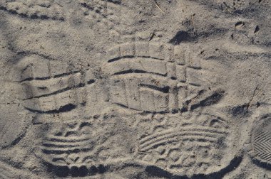 Orman kumu yakın çekim ayakkabı ayak izleri