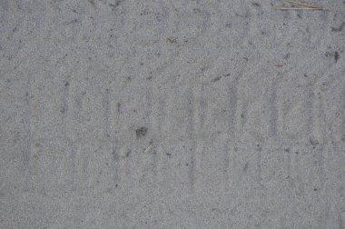 Orman kumu yakın çekim ayakkabı ayak izleri