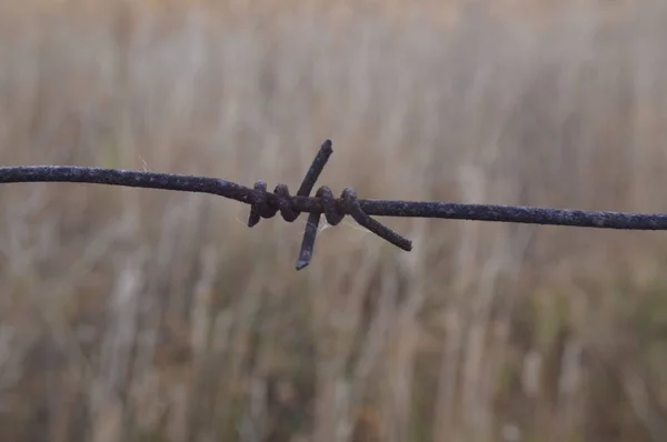 Barbed wire stretched on a fence for security — Stock Photo, Image