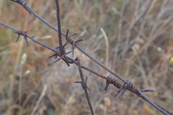 Fil barbelé tendu sur une clôture pour la sécurité — Photo