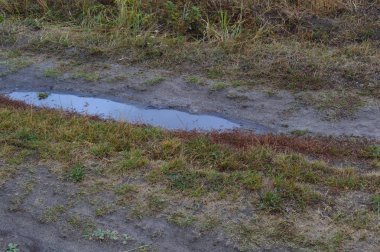 Yerde yağmurdan sonra sonbahar su birikintileri