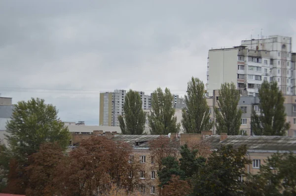 Осенние пейзажи деревьев и листьев после дождя — стоковое фото