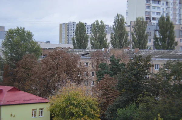 Paysages automnaux d'arbres et de feuilles après la pluie — Photo