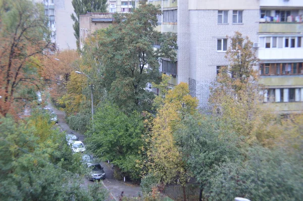 Őszi tájak fák és levelek eső után — Stock Fotó