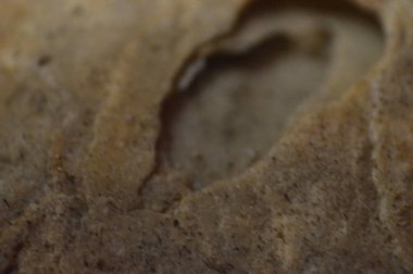 Çeşitli renklerin doğal dokusu kapat