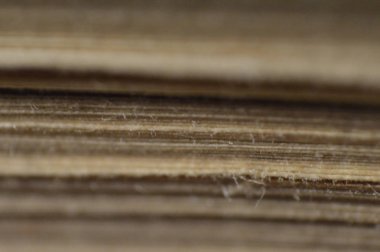 Çeşitli renklerin doğal dokusu kapat