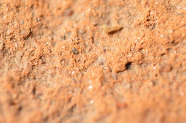 Çeşitli renklerin doğal dokusu kapat