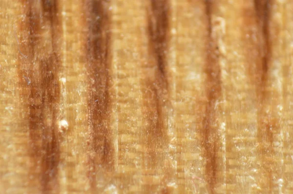 Natürliche Textur in verschiedenen Farben hautnah — Stockfoto