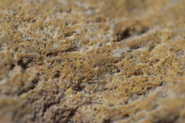 Çeşitli renklerin doğal dokusu kapat