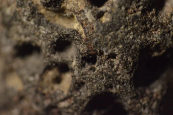 Çeşitli renklerin doğal dokusu kapat