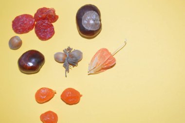 Sonbahar kestaneleri yakın planda parkın zemininde