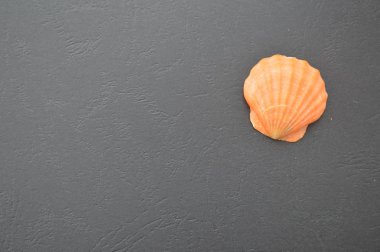 Siyah bir fotofonda çeşitli doğal nesneler var.