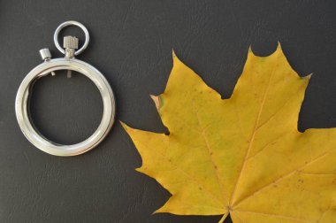 Clockwork ve detaylar yakın çekim kompozisyonu