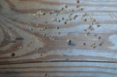 Kesilmiş kerestenin ahşap dokusu yakın çekim yapısı