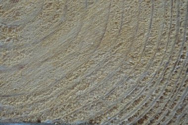 Kesilmiş kerestenin ahşap dokusu yakın çekim yapısı