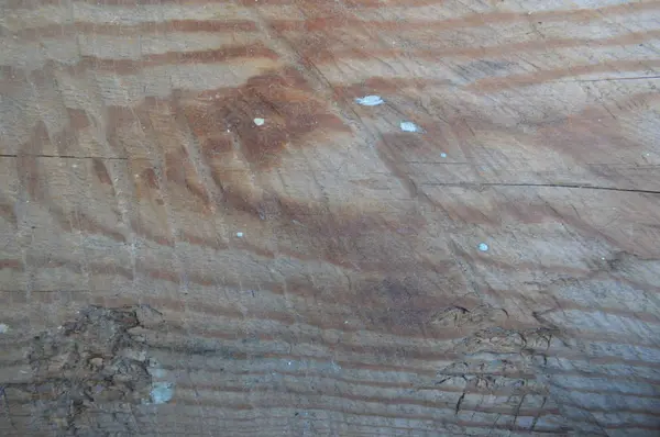 톱질을 한 목재로 나무의 구조를 굳히다 — 스톡 사진