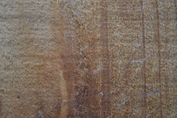 Træ tekstur closeup struktur af savskåret træ - Stock-foto