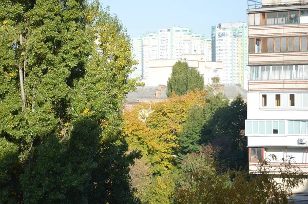 Осенняя панорама городских деревьев и растений в разных цветах — стоковое фото