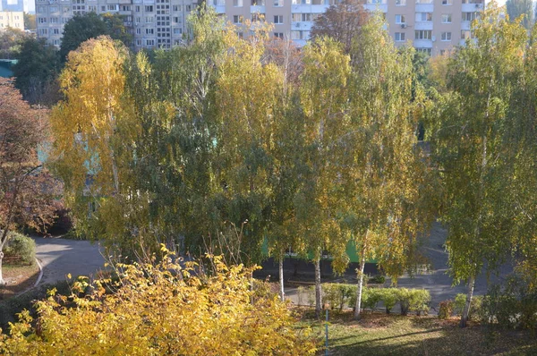 Autumn panorama of the city trees and plants in different colors — Stock Photo, Image