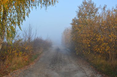 Ormanda ve köyde sabah sisi ve sisi
