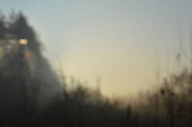 Ormanda ve köyde sabah sisi ve sisi