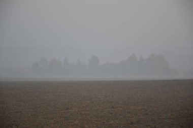 Ormanda ve köyde sabah sisi ve sisi