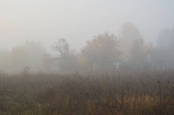 Nevoeiro matutino e neblina na floresta e aldeia — Fotografia de Stock